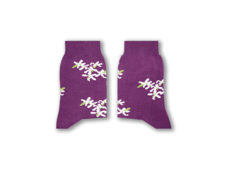 Jasmine Socks Supply