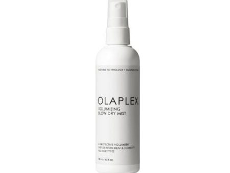 Volumizing Blow Dry Mist Online now