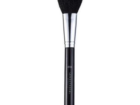 A19 Pro Brush - Blush Brush For Cheap