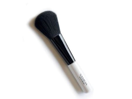 Powder & Blush Brush Online now