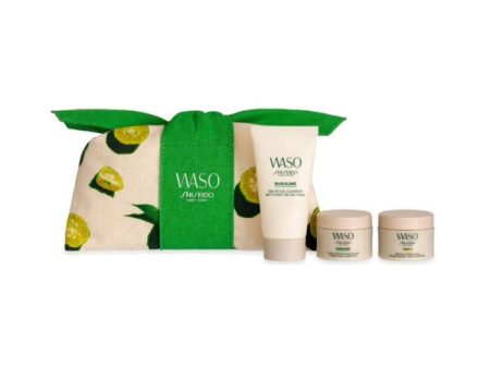 Waso Moisture Charge Gel To Oil Set Cheap