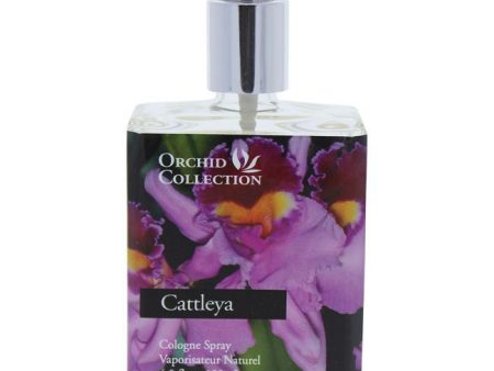 Cattleya Orchid Cologne Supply