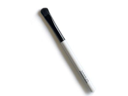 Eyeshadow Brush Discount